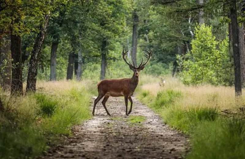 Natuurparken