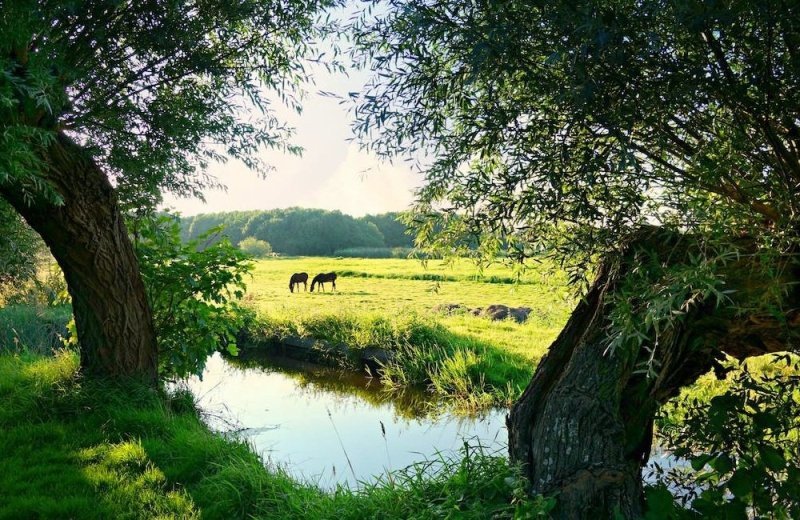 Rivierpark Maasvallei