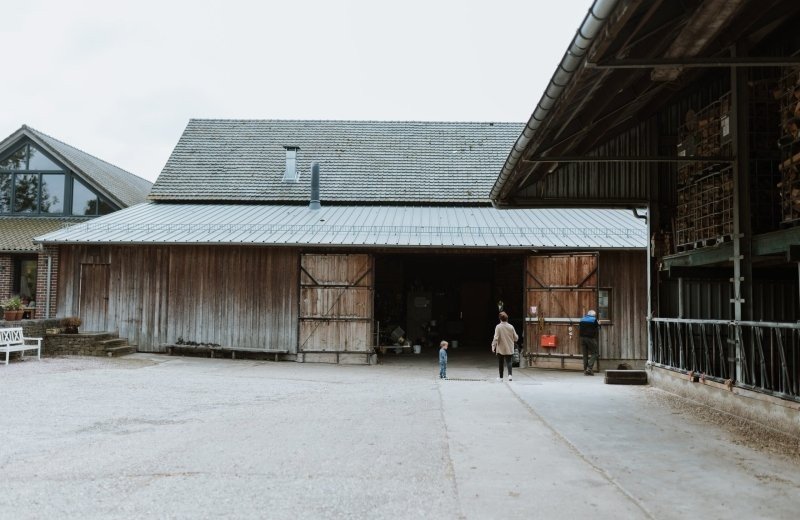 Veeschuur bij eyserhof koeien